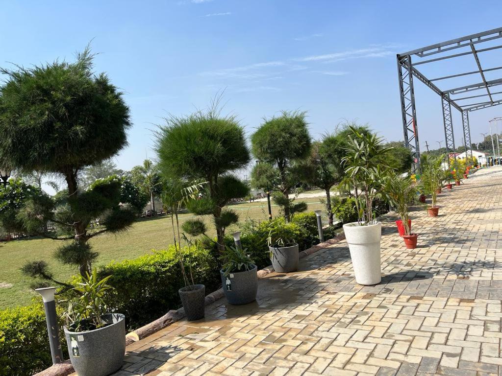 Hotel Eco Park Rewa Zewnętrze zdjęcie