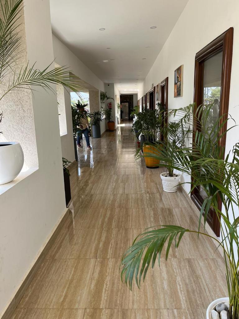 Hotel Eco Park Rewa Zewnętrze zdjęcie